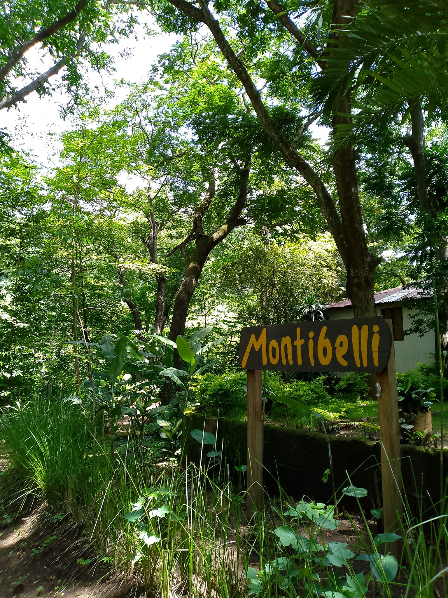 488514433_1105290368283508_7165990063359395749_n